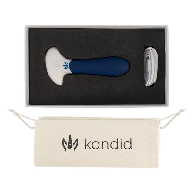 This rechargeable anal vibrator has 9 vibration patterns and comes with a storage bag and USB cable